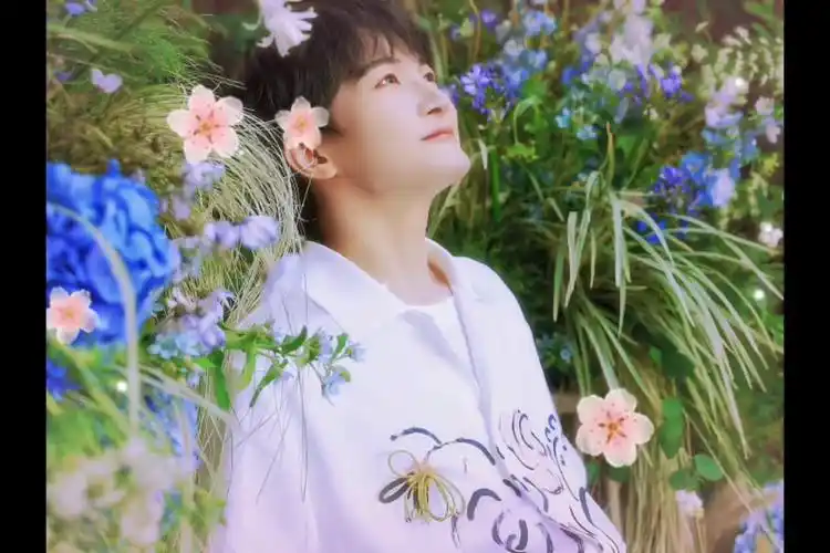 周深 愿光亮带走黑暗,花开忘忧.一切奔赴美好的未来.