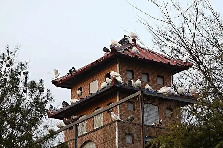 小房子_小房子图片