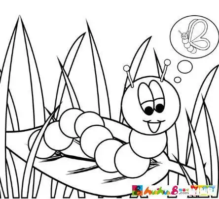 宝贝简笔画毛毛虫和蝴蝶视频