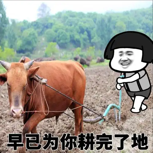 一个人买醉尝试放纵的滋味