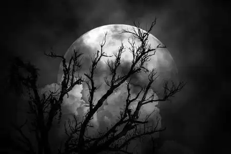 夜晚的月亮吓人图片