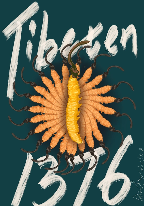 冬虫夏草|插画|创作习作|隆爷艺术 - 原创作品 - 站酷 (zcool)