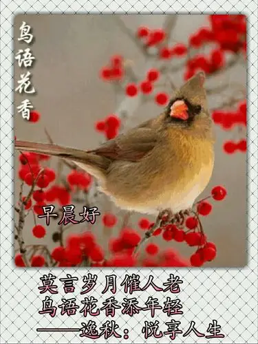 汇集"早晨好"图片,供大家欣赏