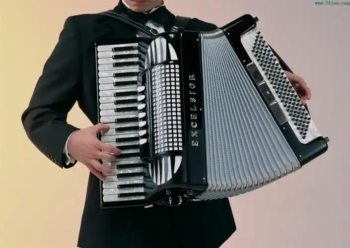 记得我以前写过的文章里,说巴扬这种纽扣手风琴不如键盘