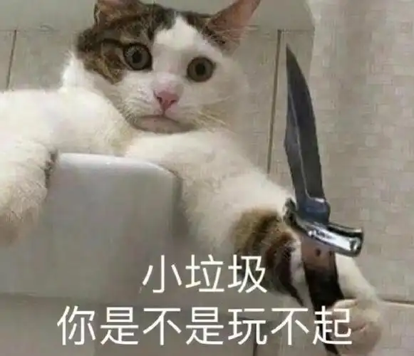 抖音最火表情包合集,每个都很赞!