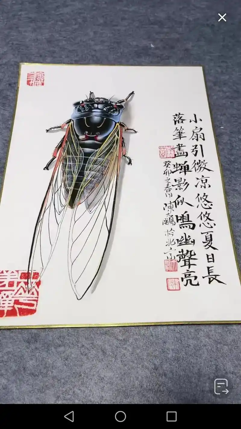 中国画蝉第一人陈大鹏老师画作欣赏 - 抖音