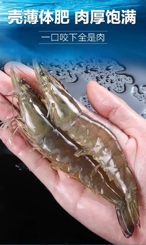 美苹新鲜海捕大虾整箱超大鲜活基围虾海虾对虾海鲜冻虾活虾海鲜净重32