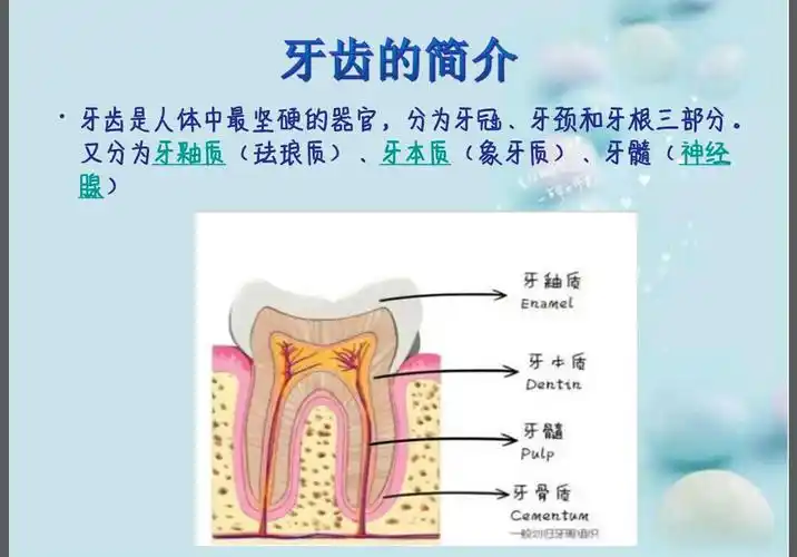 华诗经典幼稚园大班"保护牙齿"开始啦