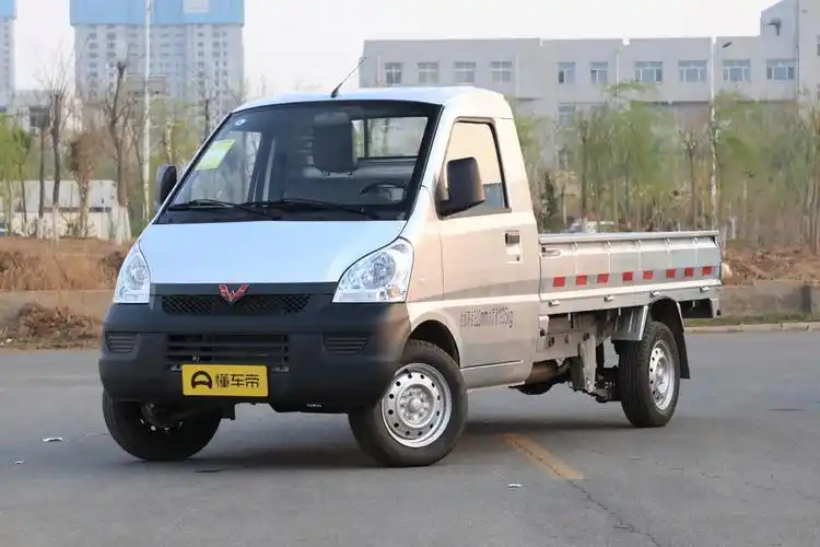 五菱单排货车(抚州五菱荣光小卡直降0) - 四帝国车市