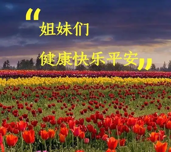 给姐妹们一个迟到的节日问候……健康平安!