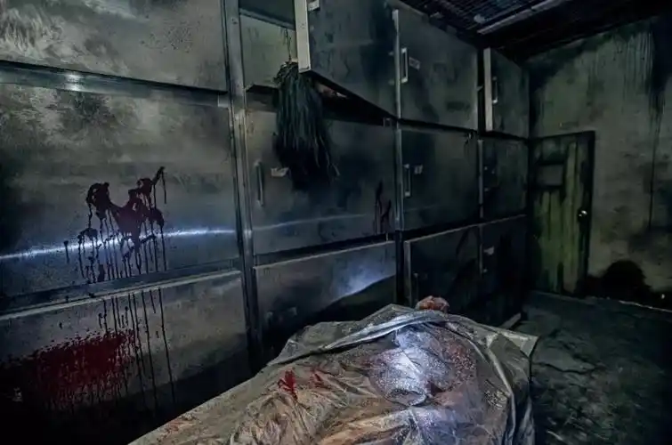 《14号医学研究所》全面升级,不可抑制的颤栗将逐步侵蚀着你_项目