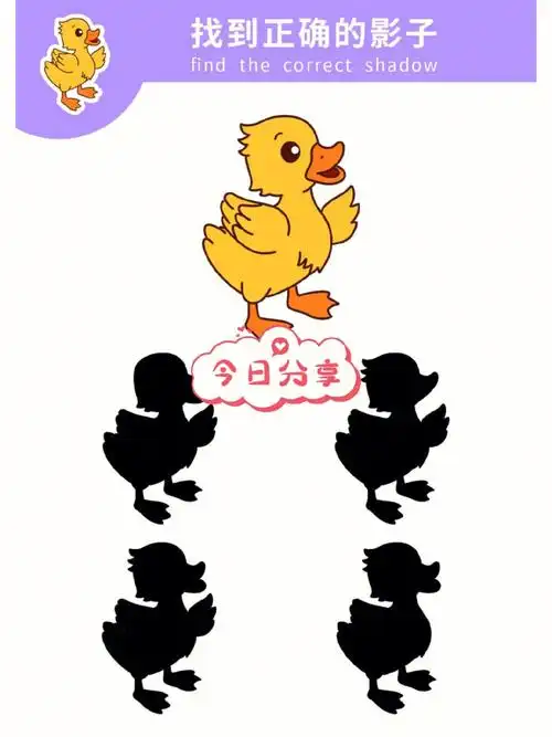 幼儿园益智区环创素材找到正确的影子