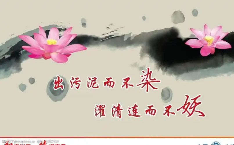 出淤泥而不染图片
