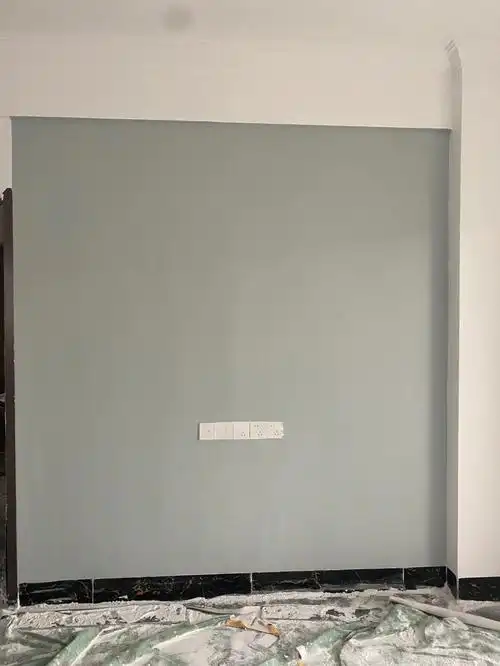 但还是很满意的#立邦漆色号  #立邦乳胶漆  #立邦银币