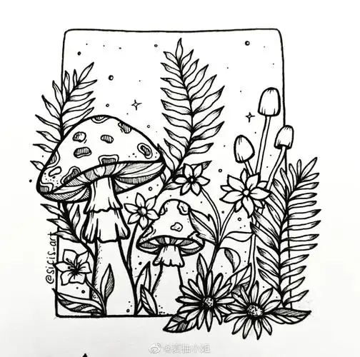 简单好看的黑白线描画sicisart