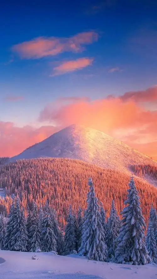 冬天里的唯美雪景意境