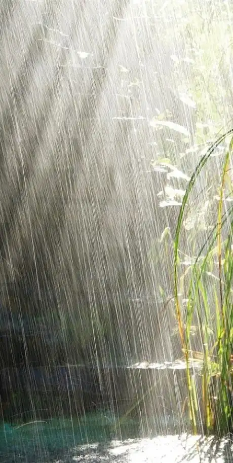 唯美伤感的下雨天风景图片