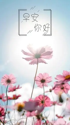 早安你好小清新花朵640x1136分辨率查看
