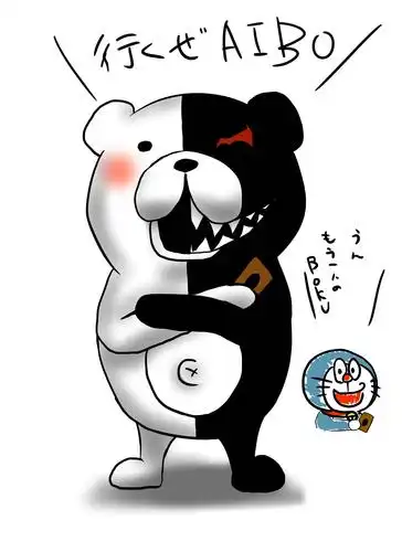 每日图片-黑白熊