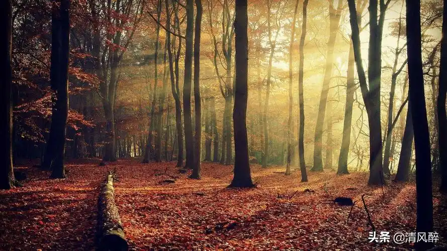 抖音最火闺蜜句子(简单干净的短句闺蜜)-万网时代