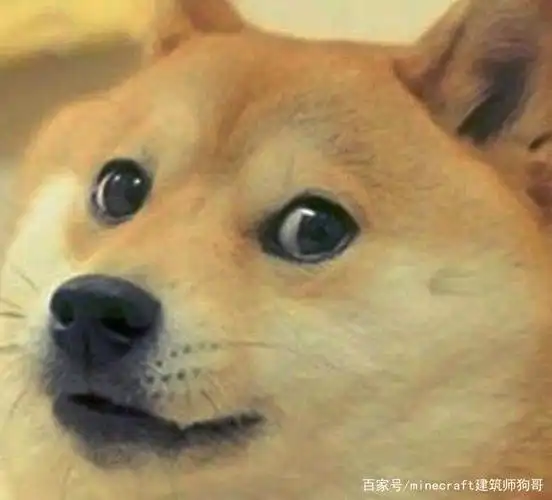 狗头保命,你还知道哪些可以骑的坐骑呢?评论下方留言