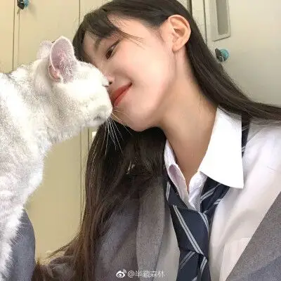 半藏森林 - 堆糖,美图壁纸兴趣社区