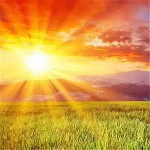 用什么头像可以带来好运和财运