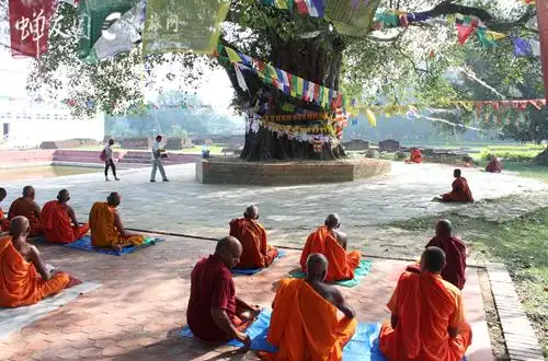 菩提树下的修行者