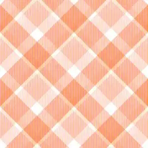 格子织物的质地无缝图案矢量图