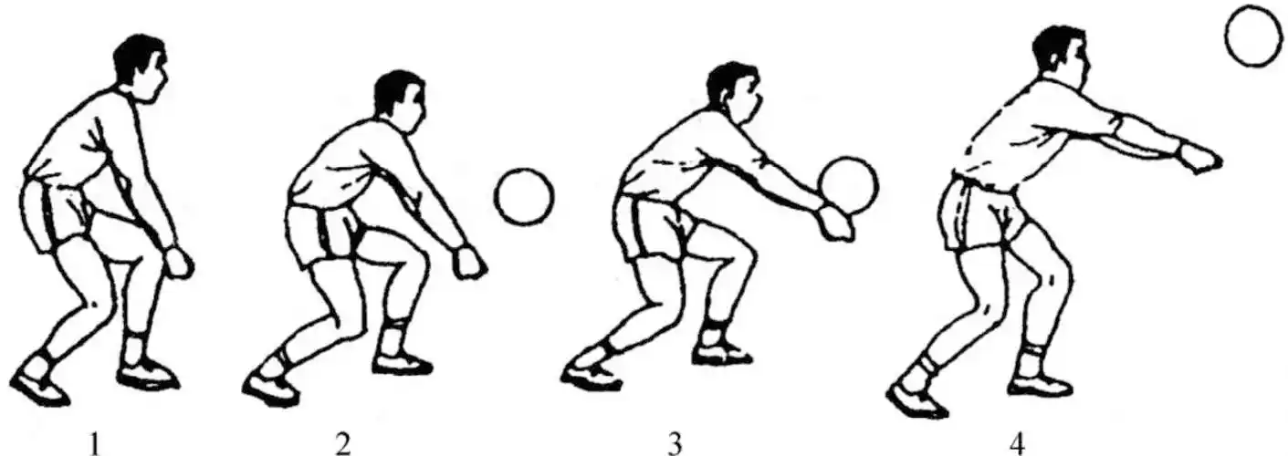 排球的基本技术