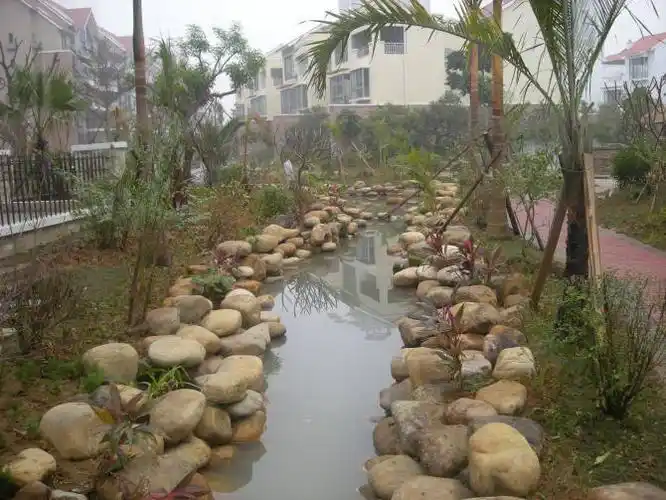 园林绿化鹅卵石驳岸变压器鹅卵石大小景观鹅卵石