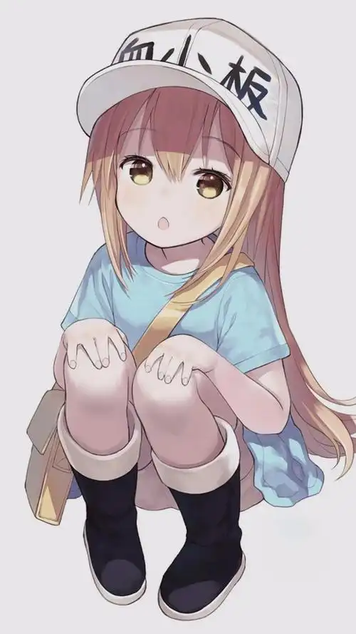 壁纸丨萌萌哒血小板壁纸