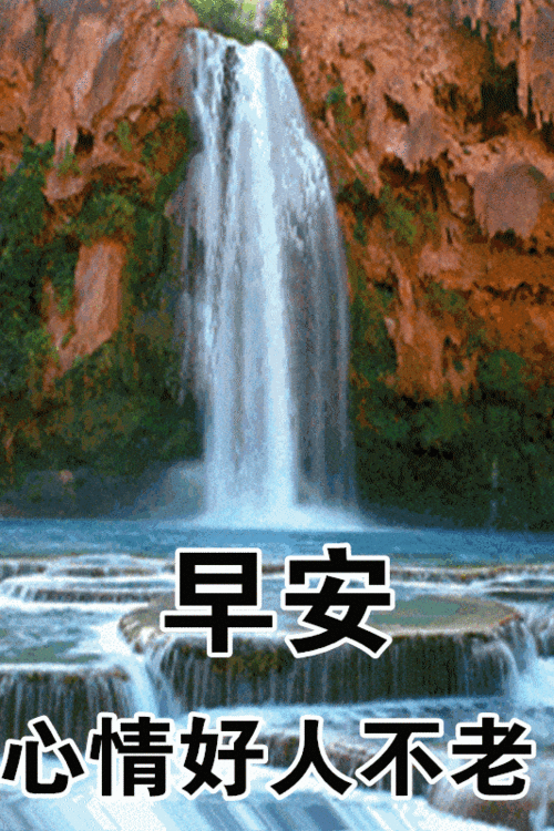 2021早上好动态表情图片大全早晨好动图美图大全