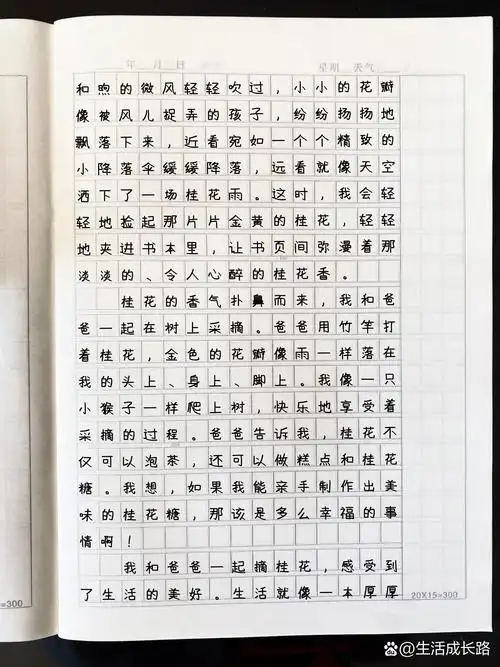 小学作文|生活万花筒|桂花篇|四上第5单元