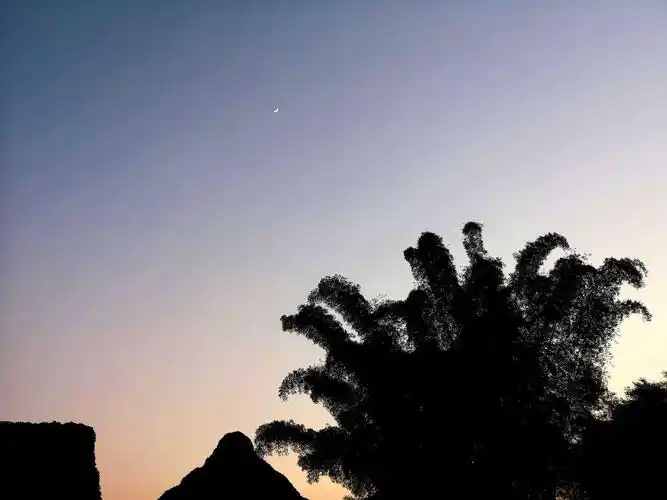 手机摄影# 丧气日