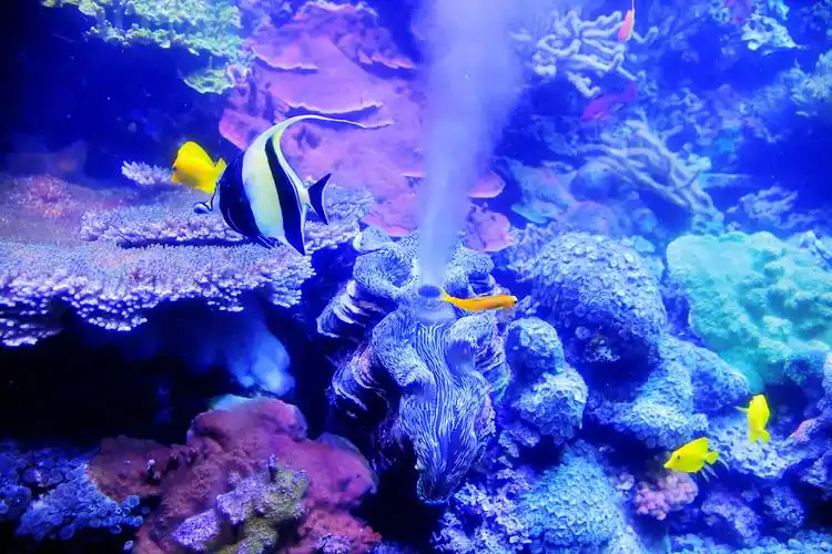 海底世界真精彩