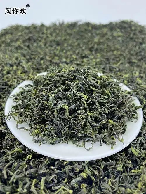 新茶山东日照绿茶春茶叶浓香型高山云雾一级炒青茶业500g