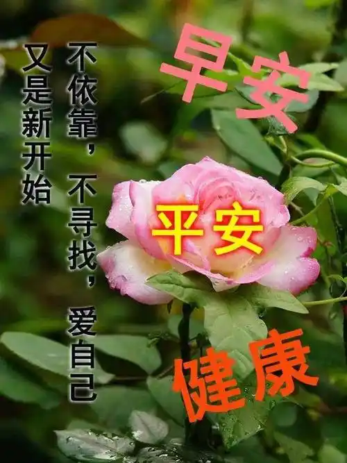 早上好祝福语图片大全免打字 2021夏日清晨早安问候语图片文字_朋友