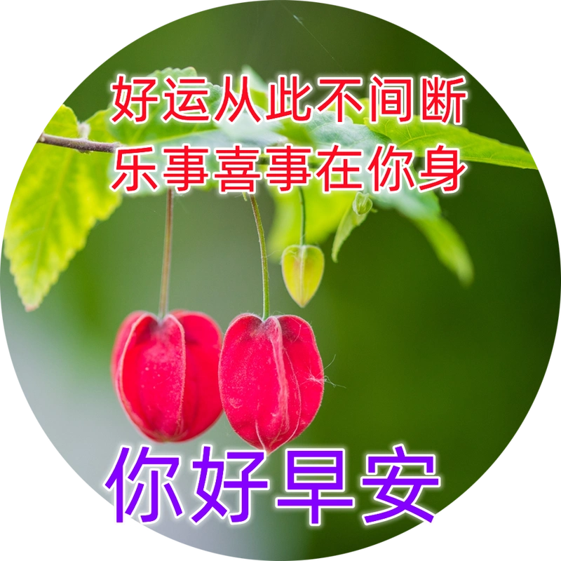 周五最漂亮的早安祝福唯美图片带字温馨 早上问候表情图片唯美