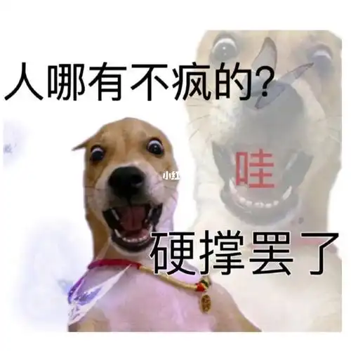 在宿舍待了三天大家都学的怎么样了,本人已疯,26号能解封吗?