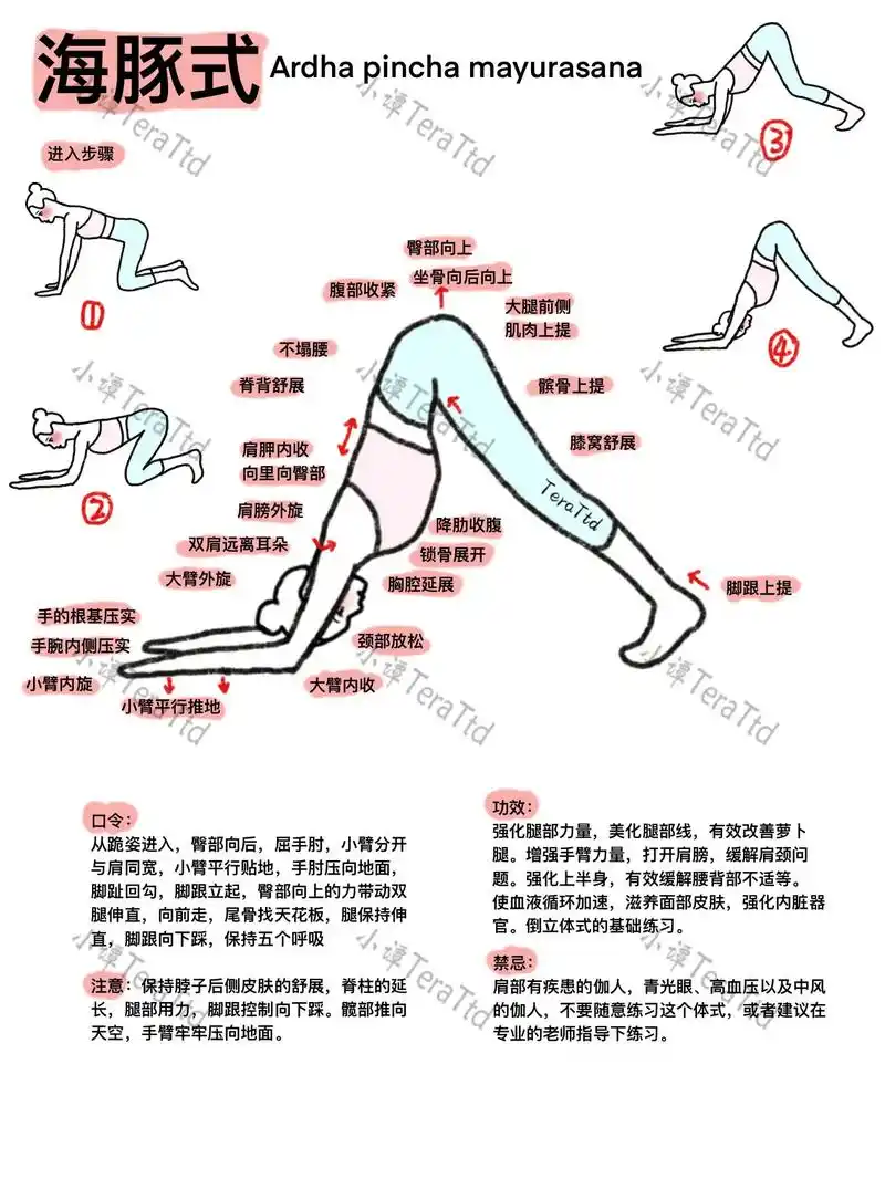 瑜伽教培笔记|海豚式口令,细节功效|收藏.9393海豚式功效 - 抖音