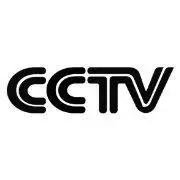 cctv历年台徽(台标)