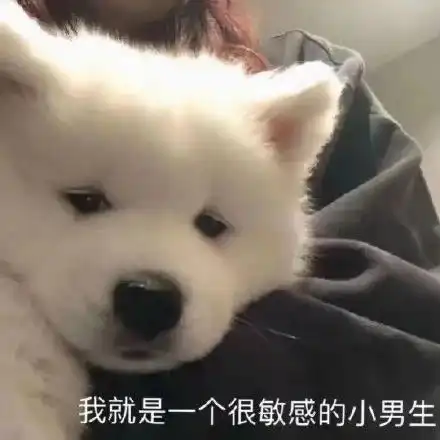 窗口的小男孩表情包 - 窗口的小男孩微信表情包 - 窗口的小男孩qq表情