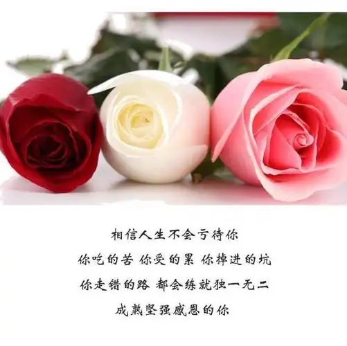 致女人的文艺范好句子,简短洒脱,霸气全开