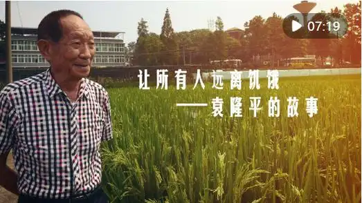 让所有人远离饥饿袁隆平的故事