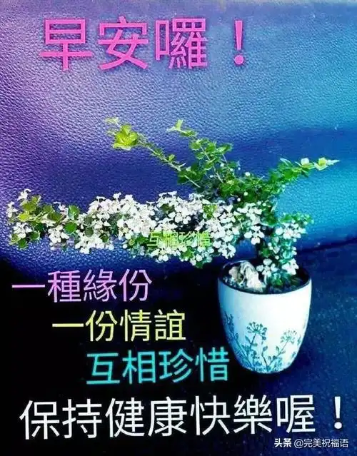 最新版早上好短信祝福语录微信大全,早上好问候暖心句子送朋友