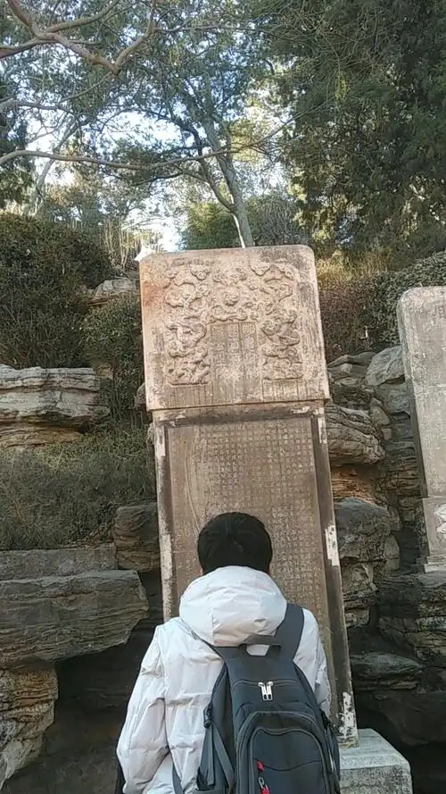 景山歪脖子树,明朝皇帝崇祯吊死这儿