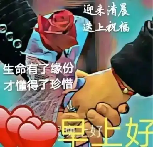 早上好问候大家及关心的话早上好祝福动态表情图片送给好朋友