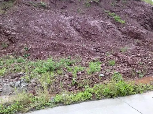 红色偏紫的土壤是什么土壤啊