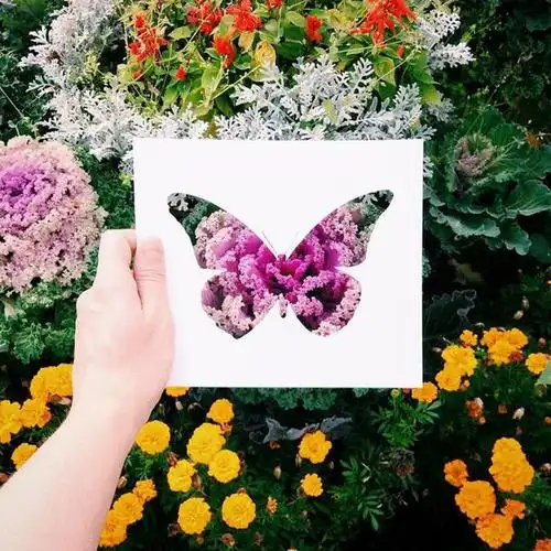 来自俄罗斯艺术家nikolai tolstyh的创意剪纸.